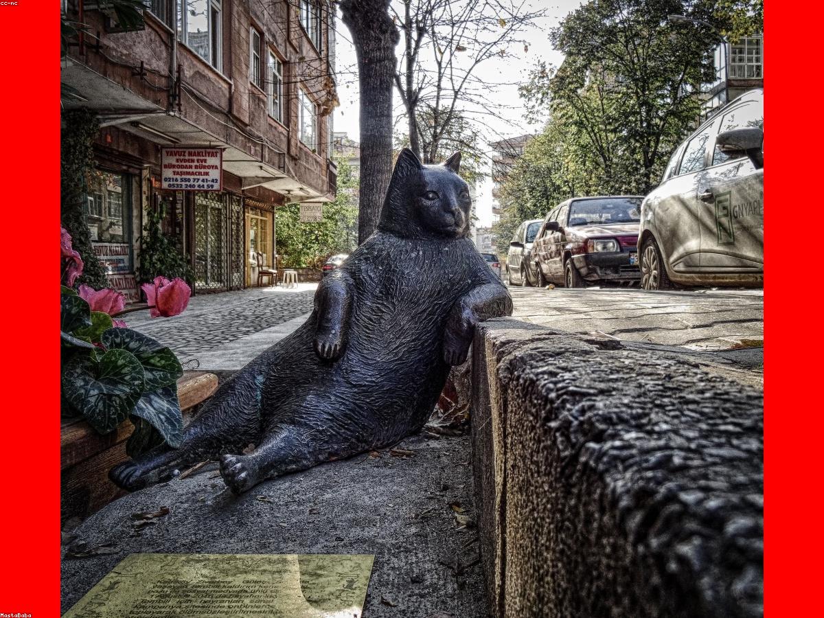 欧冠足球之夜
